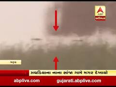 ભરૂચના ઝઘડિયાના નાના સાંજા ગામે મગર દેખાયો, પૂરના પાણી સાથે ખેતર સુધી પહોંચ્યો મગર