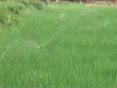 Bihar: प्राइवेट नौकरी छोड़ अपने गांव में हाईटेक किसान बने शख्स की कहानी