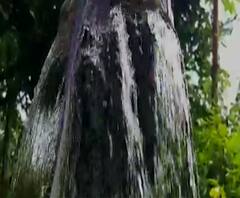 Majha Gaon Majha Paus | जिल्ह्याजिल्ह्यातील पावसाचे अपडेट एका क्लिकवर