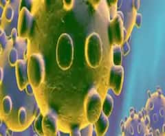 রাজ্যে কমল দৈনিক করোনা সংক্রমণ ও মৃত্যু, বাড়ল সুস্থতার হার 