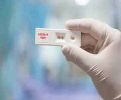 এক ঝলকে : পানিহাটিতে করোনা আক্রান্তদের সহযোগিতা করল না পুরসভা? মরিচঝাঁপিতে বাঘের হানায় মৃত্যু