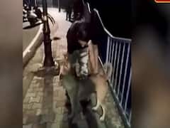 Bhopal police arrests man who threw dog into lake