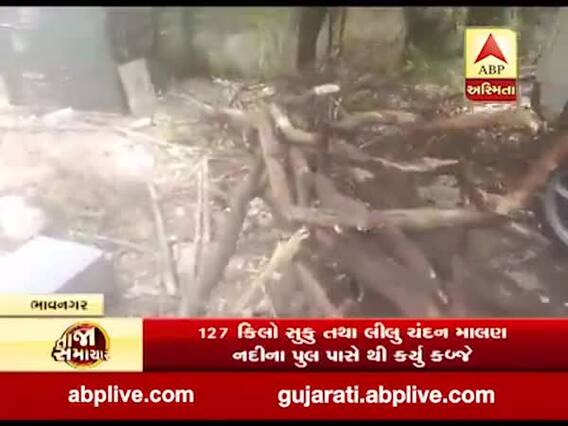 ભાવનગર મહુવા પોલીસે 127 કિલો સુકુ અને લીલુ ચંદન કર્યુ કબજે