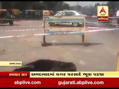 અમદાવાદ: હાટકેશ્વરથી ઘોડાસર જતા માર્ગ પર પડ્યો ભૂવો, જુઓ વીડિયો
