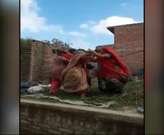 पशु बांधने पर दो गुटों में चले लाठी-डंडे, Video वायरल। Pilibhit