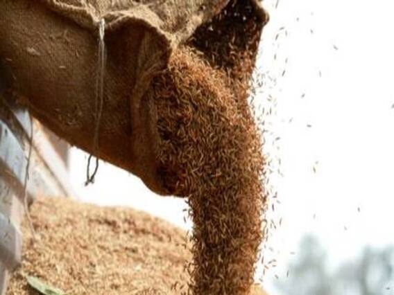 'जो जानवर नहीं खा सकता वो चावल हमको खिला रहे हैं', गरीबों में बांटा गया बेहद घटिया क्वालिटी का अनाज