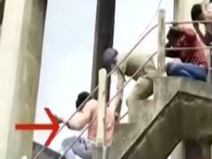 Haldwani: फीस माफी के लिए लोगों संग पानी टंकी पर चढ़े पार्षद, मधुमक्खियों ने किया हमला