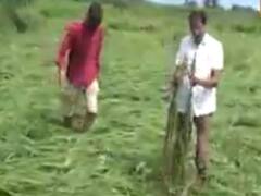 સુરતના ઓલપાડમાં ભારે પવન સાથે વરસાદ વરસવાના કારણે પાકને નુકસાન, જુઓ વીડિયો