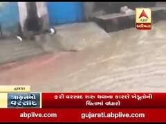 દ્વારકાના કલ્યાણપુર તાલુકાના ગટકા ગામે ધોધમાર વરસાદ, જુઓ વીડિયો