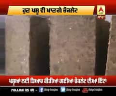 punjab mail:ਚੌਕਲੇਟ ਖਵਾਓ, ਦੁੱਧ ਵਧਾਓ