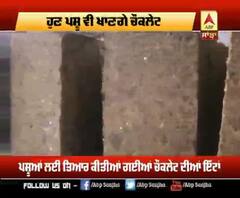 punjab mail:ਚੌਕਲੇਟ ਖਵਾਓ, ਦੁੱਧ ਵਧਾਓ