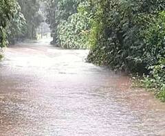 Monsoon 2020 | जिल्ह्याजिल्ह्यातील पावसाचे अपडेट एका क्लिकवर | माझं गाव माझा पाऊस