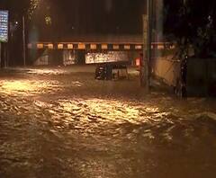 Mumbai Rain Update | मुंबईत पावसाचं धुमशान; रस्त्यांना नदीचं स्वरुप