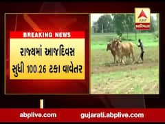 રાજ્યભરમાં અત્યાર સુધીમાં 100.26 ટકા વાવેતર, જુઓ વીડિયો