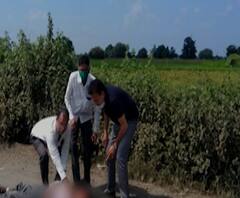 जळगावात गिरीश महाजन यांच्या कारला दुचाकीची धडक, दुचाकीस्वार गंभीर जखमी