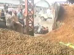 ટેકાથી પણ ઓછા ભાવે રાજકોટના યાર્ડોમાં મગફળી વેચવા ખેડૂતો મજબૂર