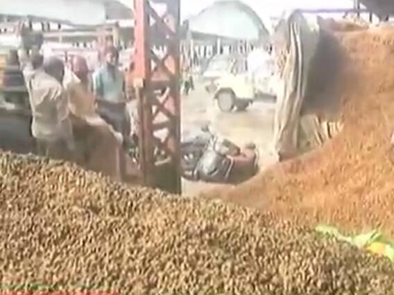 ટેકાથી પણ ઓછા ભાવે રાજકોટના યાર્ડોમાં મગફળી વેચવા ખેડૂતો મજબૂર