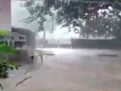 અમરેલીના જાફરાબાદના કોસ્ટલ બેલ્ટ વિસ્તારમાં વરસાદ, જુઓ વીડિયો