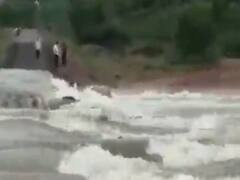 સુરેન્દ્રનગર: સૌકા-લીંબડીને જોડતો કાચો કોઝવે તૂટ્યો, લીયાદ અને લાલીયાદ ગામ સંપર્ક વિહોણા, જુઓ વીડિયો