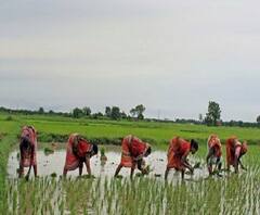 ফটাফট : কৃষি বিলের বিরুদ্ধে ২৫০টি কৃষক সংগঠন, করোনা আক্রান্ত শুভেন্দু অধিকারী ও অন্যান্য খবর