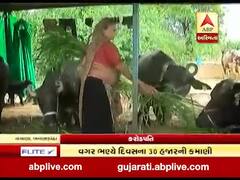  અસ્મિતા વિશેષઃ કરોડપતિ