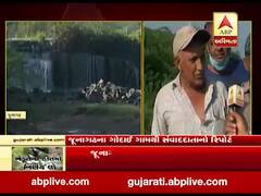 જુનાગઢમાં વરસેલા વરસાદથી ખેડૂતોને વ્યાપક નુકસાન, જુઓ વીડિયો