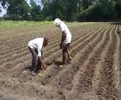 शेती जगत | शेती क्षेत्रातील घडामोडींचा वेगवान आढावा | 29 सप्टेंबर 2020