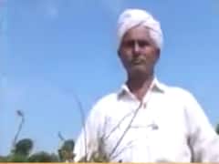 બનાસકાંઠા: ડીસા તાલુકાના અનેક ગામડાઓના ખેતરોમાં બે મહિનાથી ભરાયેલા છે વરસાદી પાણી , જુઓ વીડિયો