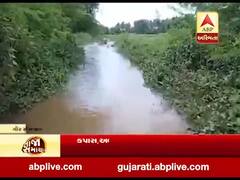 ગીર સોમનાથમાં વરસેલા ભારે વરસાદથી ખેતરોમાં ભરાયા કેડસમા પાણી, જુઓ વીડિયો 