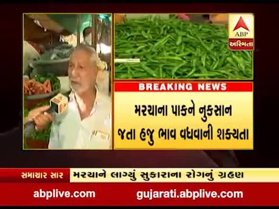 સૌરાષ્ટ્રમાં પાક નુકસાન બાદ આવક ખોરવાતા મરચાના ભાવમાં ભડકો, જુઓ વીડિયો 