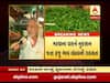 સૌરાષ્ટ્રમાં પાક નુકસાન બાદ આવક ખોરવાતા મરચાના ભાવમાં ભડકો, જુઓ વીડિયો 