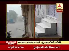 વિસનગરમાં વરસાદી ઝાપટું પડતા પાકને નુકસાનની ભીતી, જુઓ વીડિયો