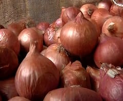 Onion Export Ban | केंद्र सरकारकडून कांद्याच्या निर्यातीवर बंदी, कांद्याचे दर नियंत्रणात ठेवण्यासाठी निर्णय