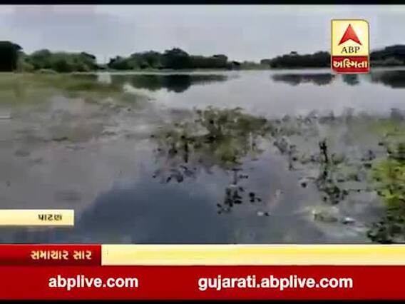અતિશય વરસાદથી પાટણના ખેડૂતોની સ્થિતિ ખરાબ, ચાણસ્માના કંબોઇ જૂથ પંચાયતના સરપંચે CMને લખ્યો પત્ર