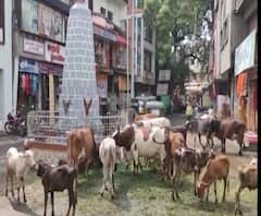 Rural News | माझं गाव माझा जिल्हा | राज्याच्या कानाकोपऱ्यातील बातम्यांचा आढावा | 28 सप्टेंबर 2020