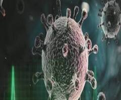 দেশে বাড়ছে করোনা সংক্রমণ, টানা ১৯ দিন দৈনিক মৃত্যুর সংখ্যায় শীর্ষে ভারত