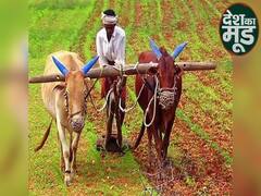 Farmers Protest : क्या नए कानून से किसानों का शोषण करेंगी बड़ी कंपनियां, क्या है किसानों का सबसे बड़ा डर? l ABP Uncut