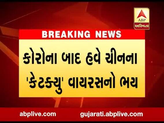 ભારત સહિત દુનિયા પર ચીનમાંથી વધુ એક વાયરસના પ્રસારનું જોખમ, જુઓ વીડિયો 