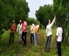 शेती जगत | शेती क्षेत्रातील घडामोडींचा वेगवान आढावा | गावागावात काय आहे शेतीची परिस्थिती? 28सप्टेंबर