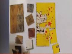 Drugs including hashish, LSD and marijuana seized in Mumbai