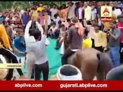  બનાસકાંઠા: વડગામના પીલુચા ગામની સીમમાં અશ્વદોડ યોજાઈ, જુઓ વીડિયો