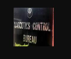 SSR Suicide Case | व्हॉट्सअ‍ॅप चॅटवरुन एनसीबीच्या पथकांमध्ये फूट?