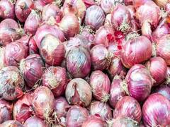 प्याज निर्यात पर प्रतिबंध के खिलाफ सड़क पर उतरे Nashik के किसान