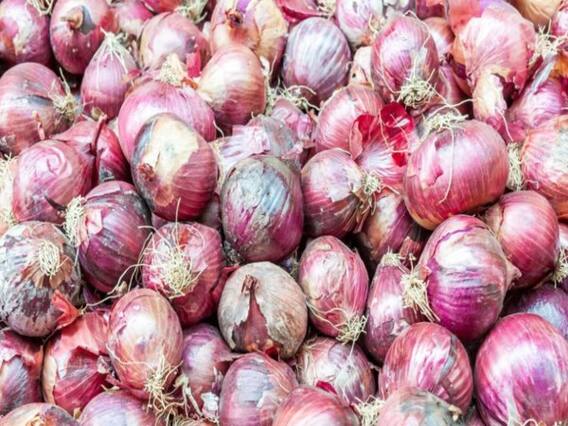 प्याज निर्यात पर प्रतिबंध के खिलाफ सड़क पर उतरे Nashik के किसान