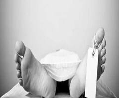 ধরতে গিয়েছিলেন মাছ, প্রাণ গেল বাঘের হানায় 