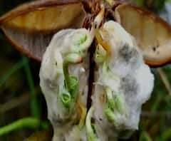 शेती जगत | शेती क्षेत्रातील घडामोडींचा वेगवान आढावा | गावागावात काय आहे शेतीची परिस्थिती? 