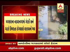 અમરેલીના બગસરામાં ઠેર-ઠેર ગંદકીથી સ્થાનિકો પરેશાન, જુઓ વીડિયો