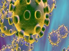 WHO की चेतावनी, कोरोना का संकट अभी सिर्फ शुरू हुआ है