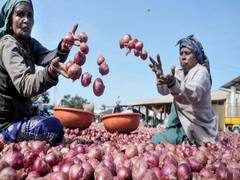 क्या है प्याज़ के Mismanagement पर नई Update? | Ghanti Bajao