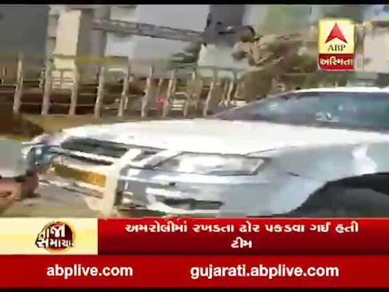 સુરત મનપાની ટીમ પર પશુપાલકોનો હુમલો, અમરોલીમાં રખડતા ઢોર પકડવા ગઇ હતી ટીમ